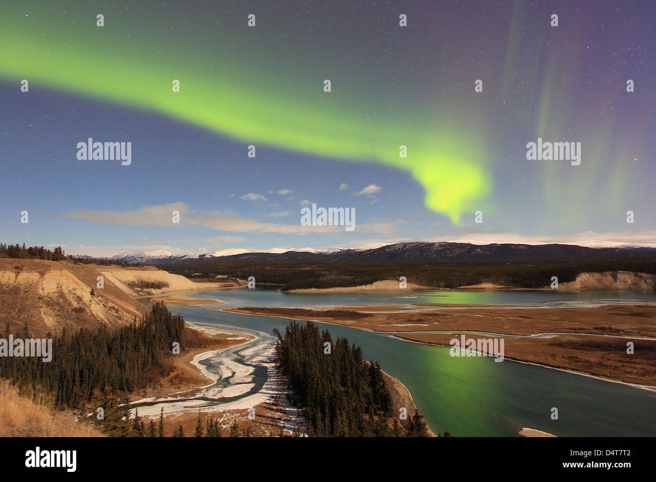 Aurora Borealis über den Yukon River, Whitehorse, Yukon, Kanada. Stockfoto