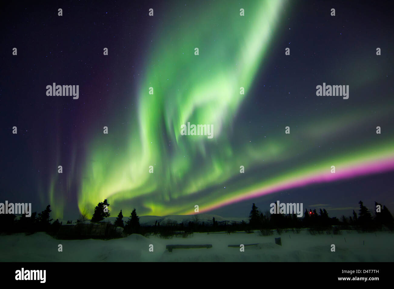 Aurora Borealis über eine Ranch, Whitehorse, Yukon, Kanada. Stockfoto