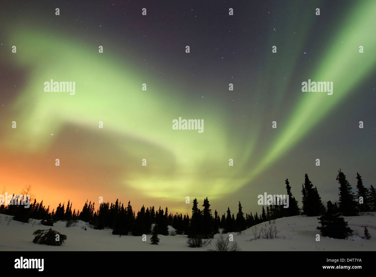 Aurora Borealis über Ogilvie Mountains, Dempster Highway, Yukon, Kanada. Stockfoto