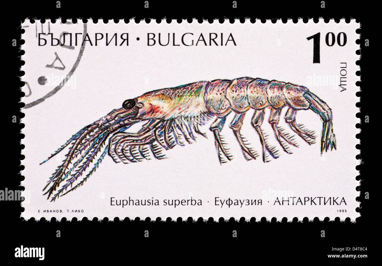 Briefmarke aus Bulgarien, die Darstellung der antarktische Krill (Euphausia Superba) Stockfoto