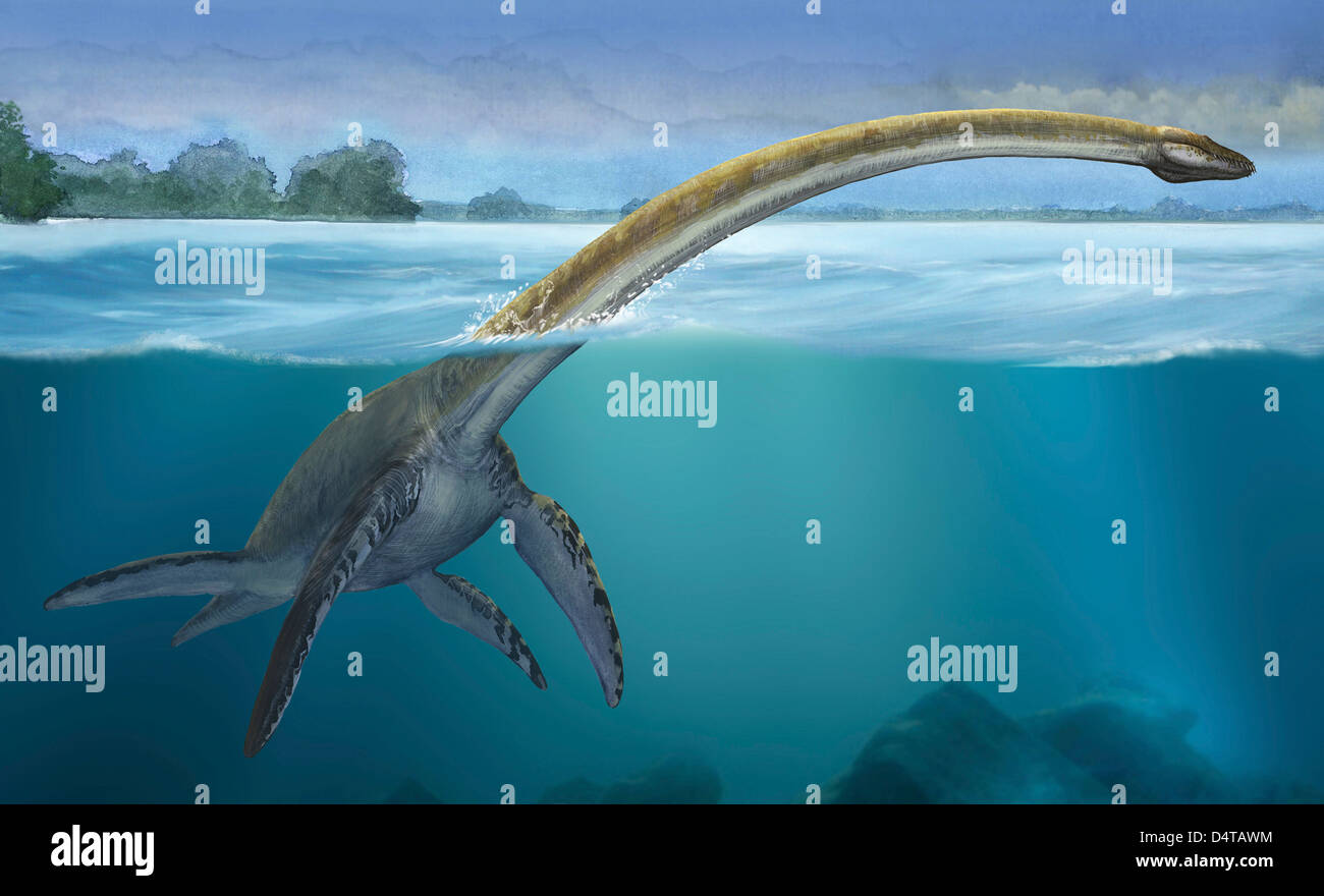 Plesiosaur dinosaur Fotos und Bildmaterial in hoher Auflösung Alamy