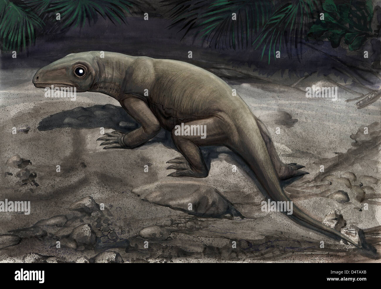 Illustration eines Nikkasaurus Tatarinovi aus prähistorischer Zeit. Stockfoto