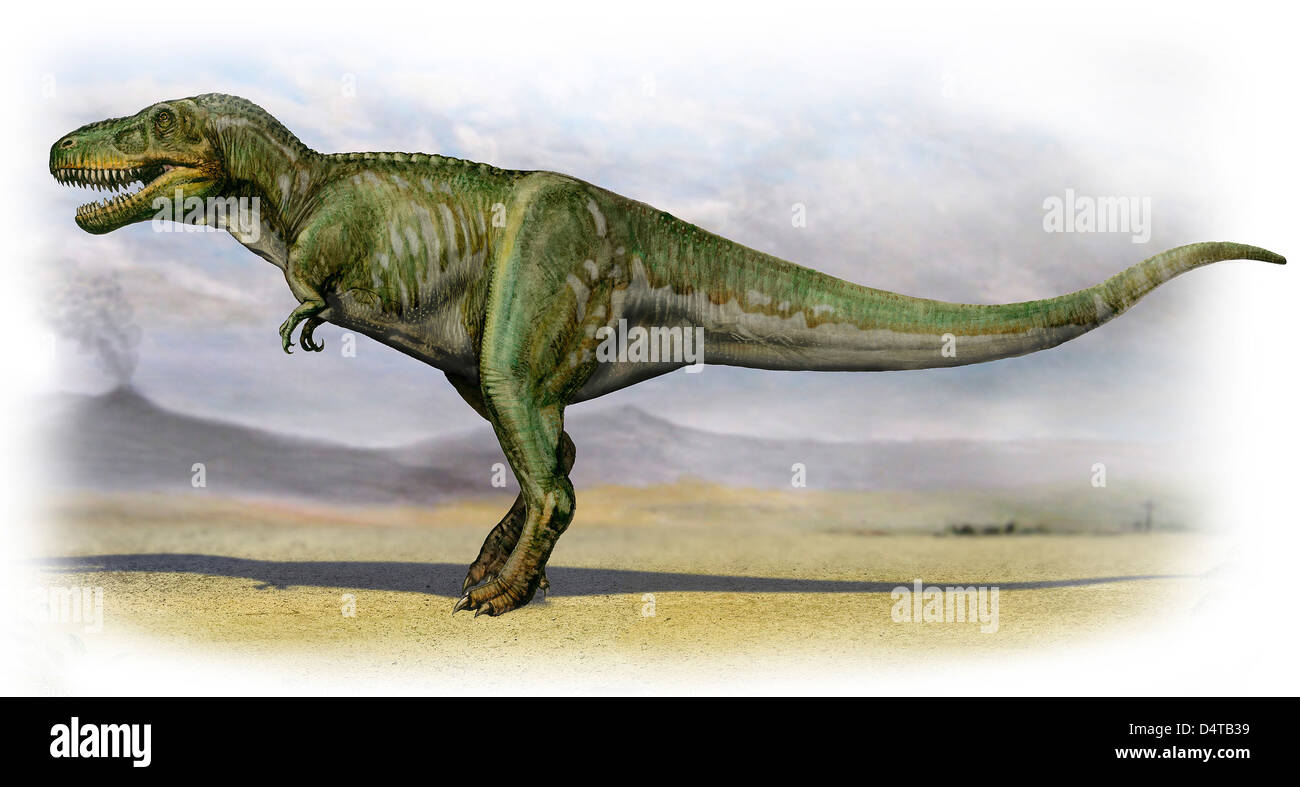 Tarbosaurus Bataar, einem prähistorischen Ära Dinosaurier aus der späten Kreidezeit. Stockfoto