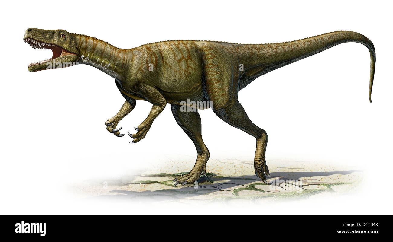 Herrerasaurus Ischigualastensis, einem prähistorischen Ära Dinosaurier aus der Triaszeit. Stockfoto