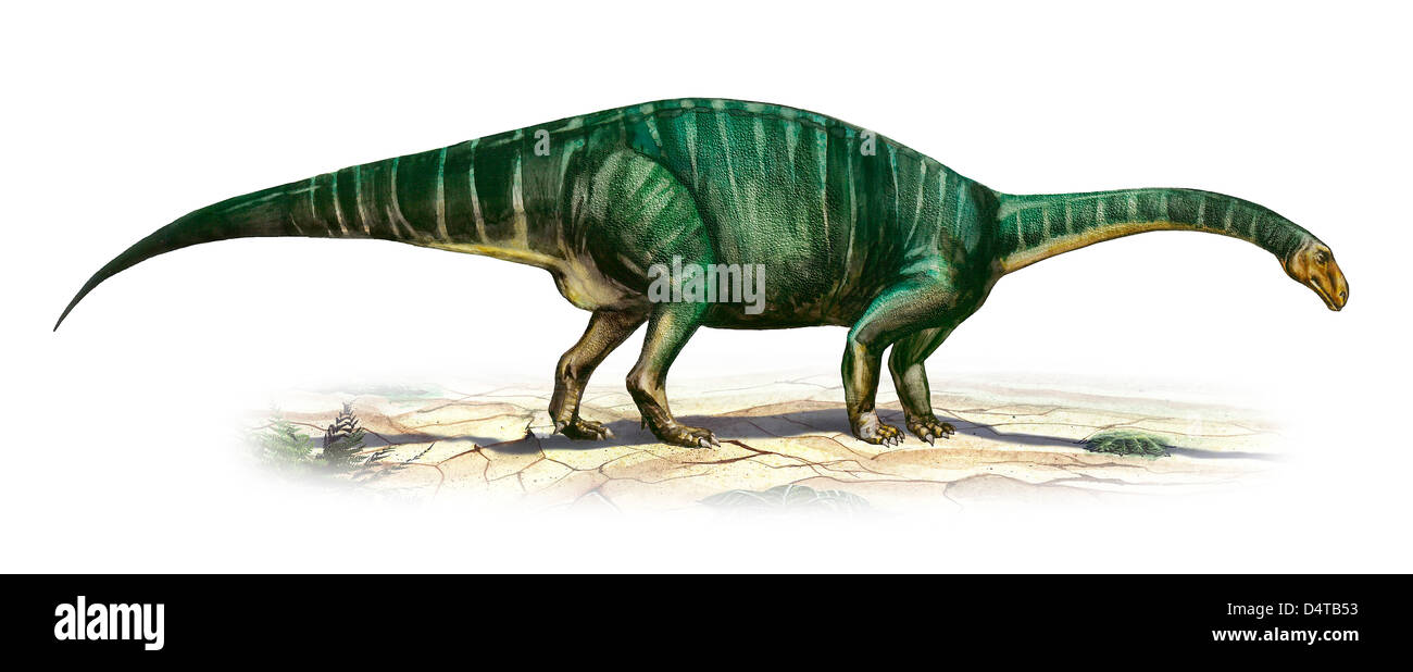 Plateosaurus Engelhardti, einem prähistorischen Ära Dinosaurier aus der späten Trias. Stockfoto