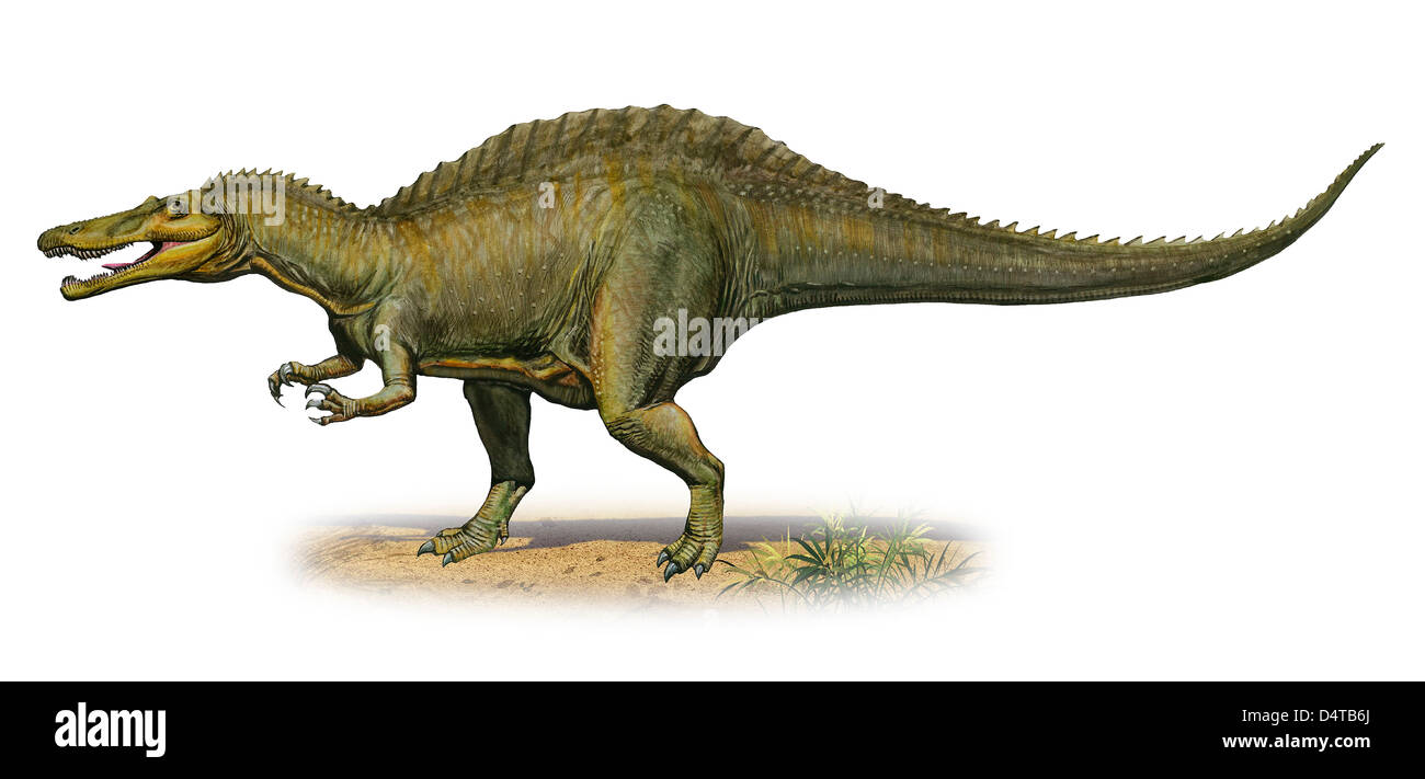 Suchomimus Tenerensis, einem prähistorischen Ära Dinosaurier aus der Kreidezeit. Stockfoto