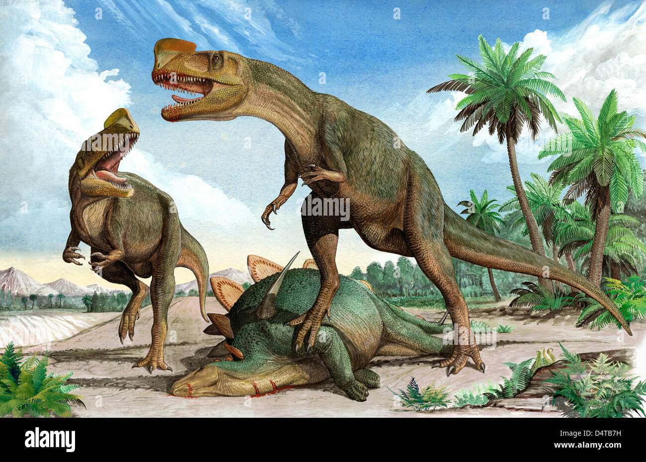 Konfrontation zwischen zwei Kileskus Aristotocus Dinosaurier über die Leiche eines Dinosauriers Stegosaurid. Stockfoto