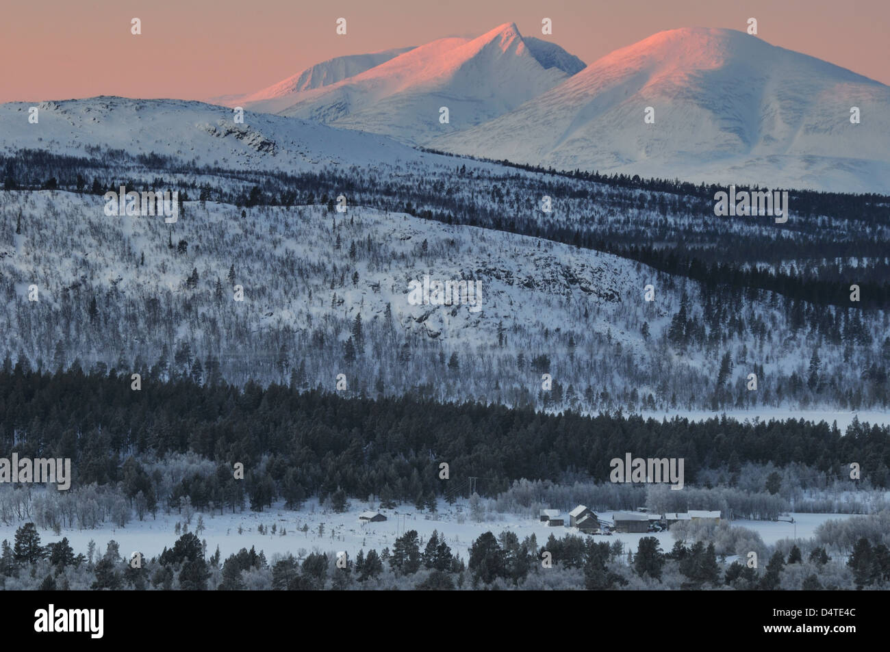Schneebedeckte Felder und Berge in Rendalssölen, Hedmark Fylke, Norwegen, Europa Stockfoto