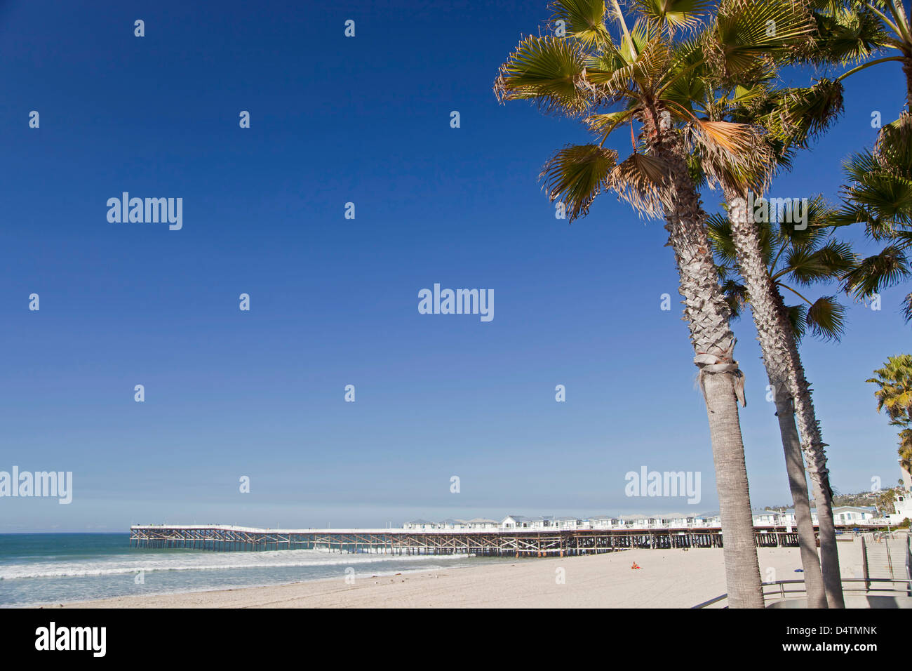 Palmen am Pacific Beach und das Crystal Pier Hotel auf Stelzen über dem Meer in San Diego, Kalifornien, Stockfoto