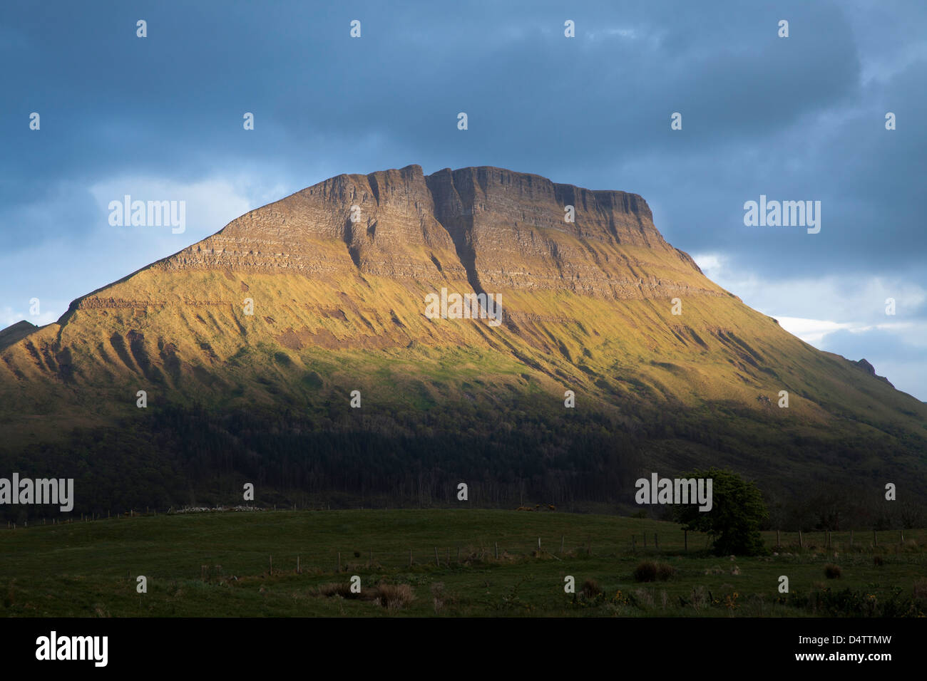 Abendlicht am Benwiskin Berg, County Sligo, Irland. Stockfoto