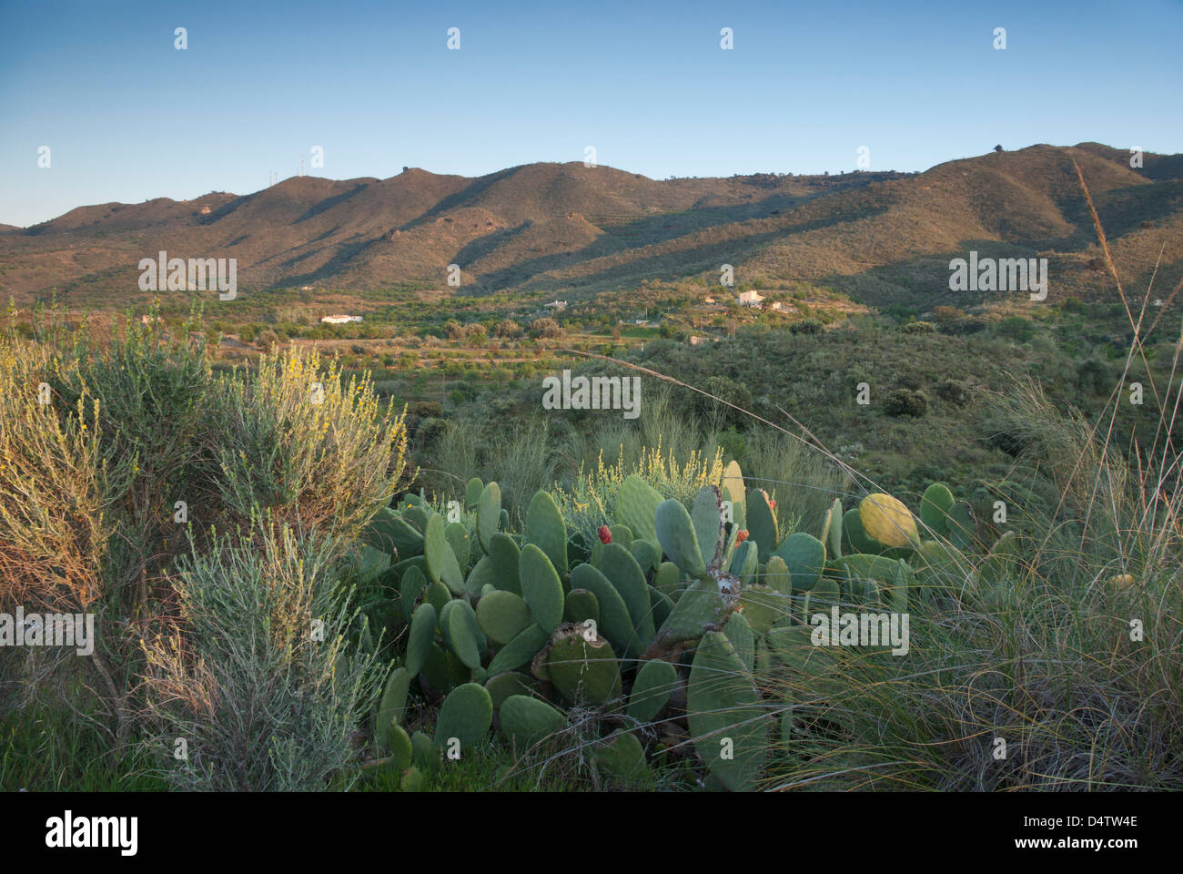 Sierra De La Atalaya, Provinz Almeria, Spanien Stockfoto