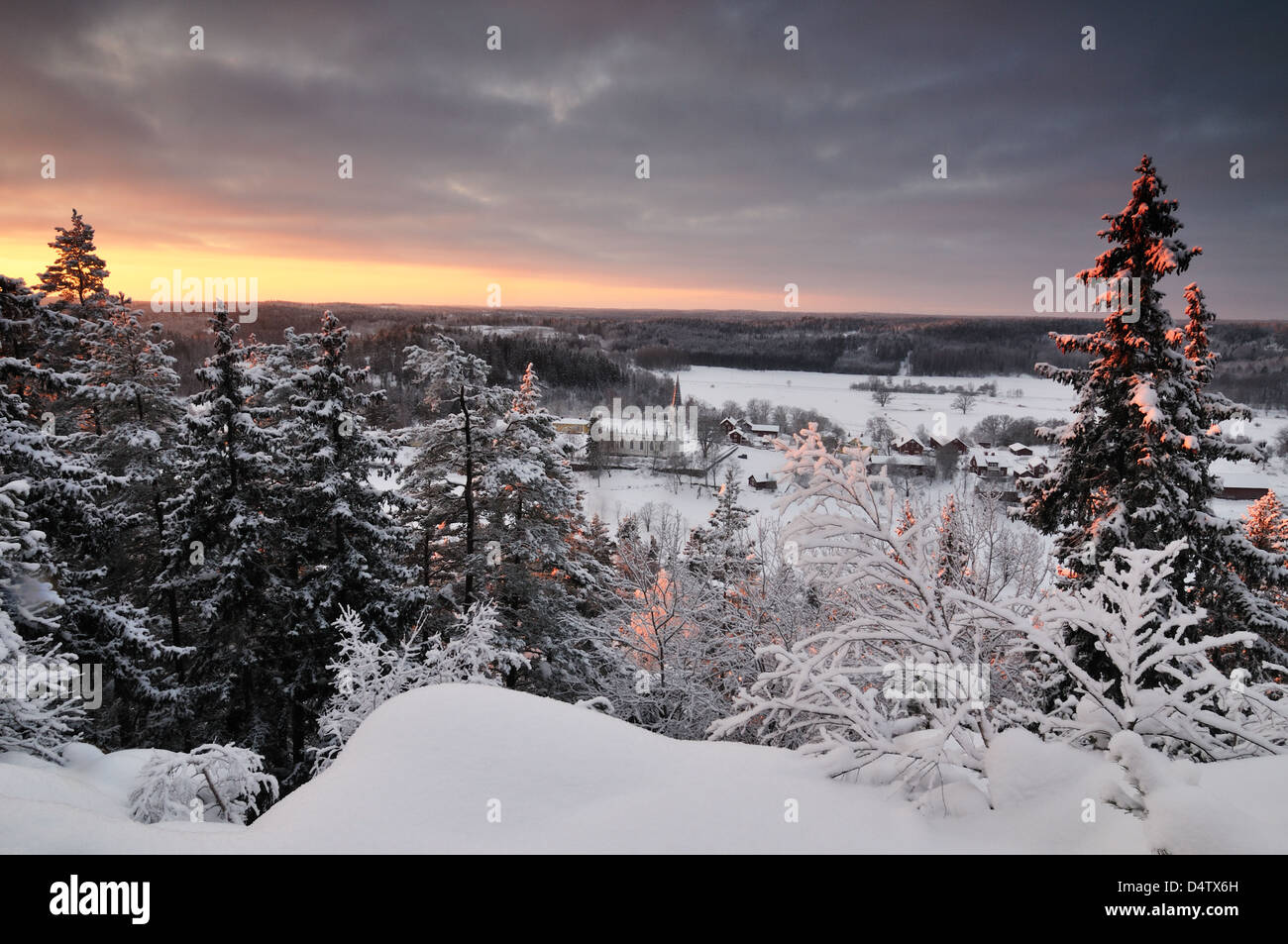 Wald im Winter, Gärdserum, Åtvidaberg, Östergötland, Schweden, Europa Stockfoto