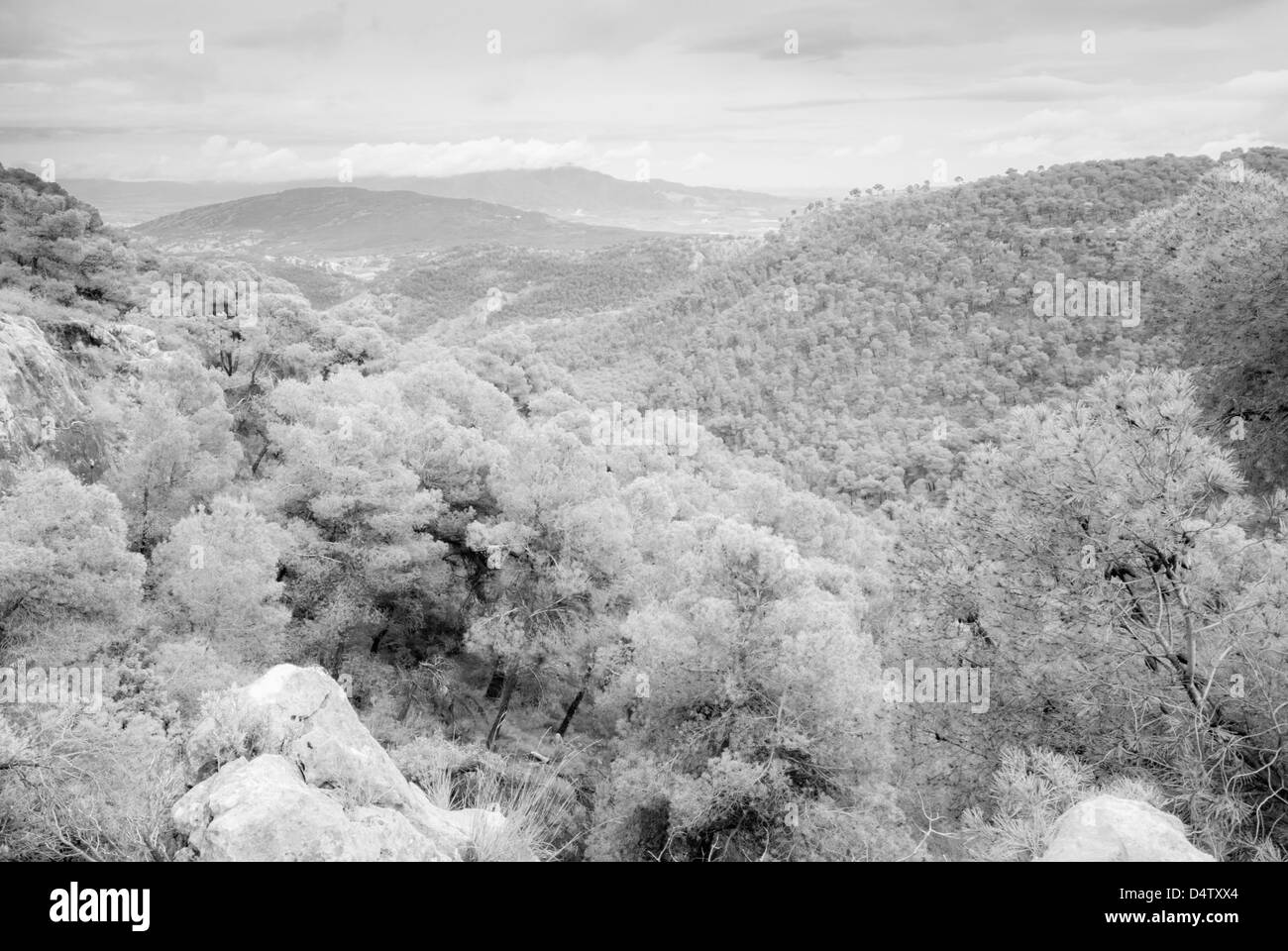 Schwarz / weiß / Infared Foto der Ansicht von Sierra de Espuna, Murcia, Spanien Stockfoto