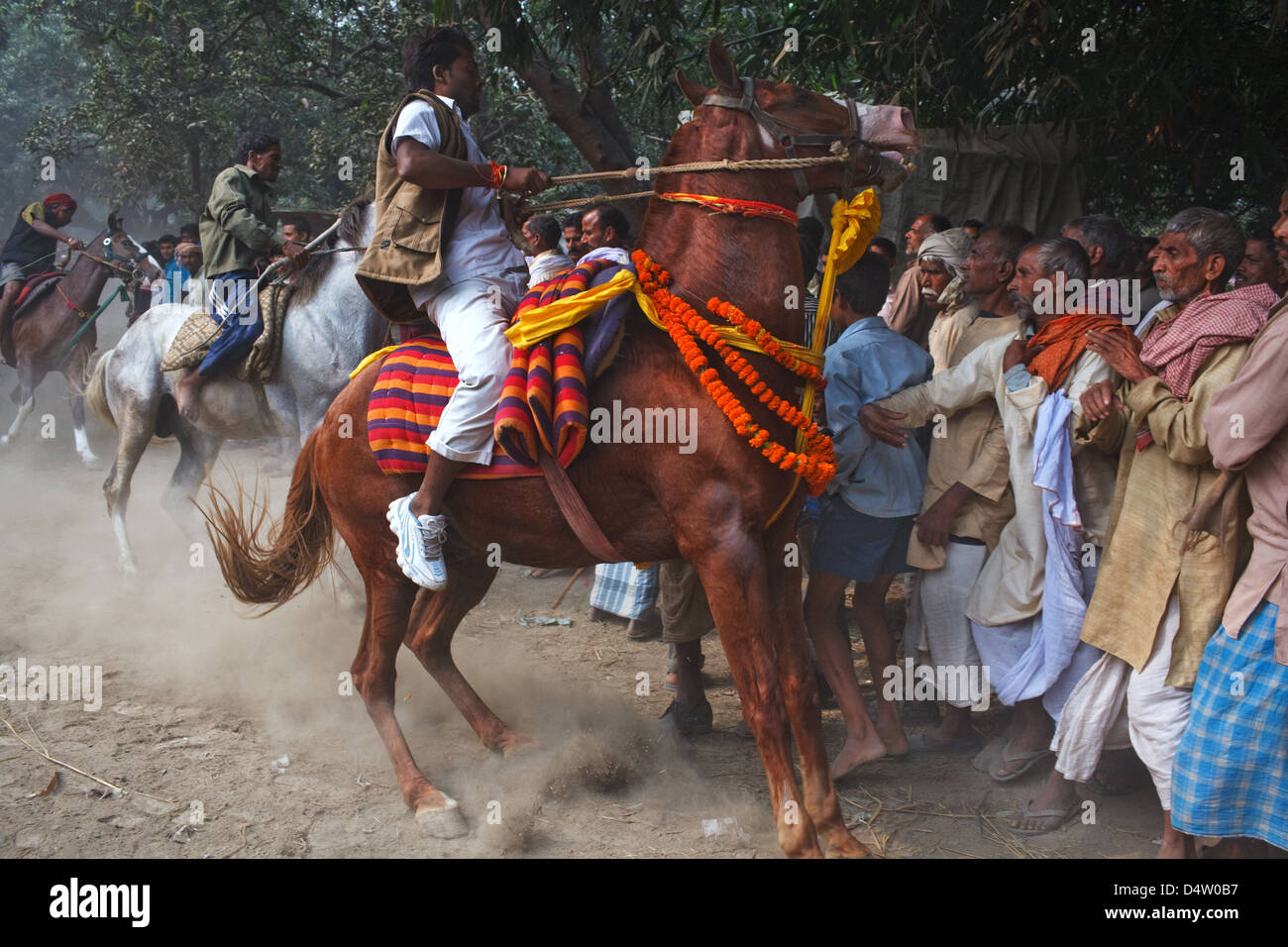 Reiten am Viehmarkt Sonepur Mela, Bihar, Indien Stockfoto