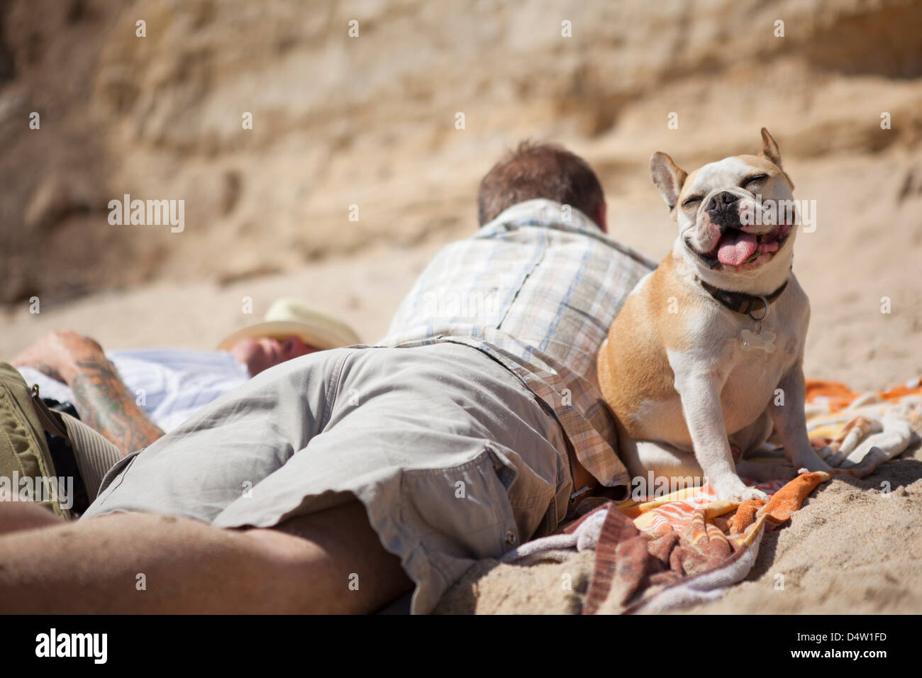 Männer mit Hund am Strand entspannen Stockfoto