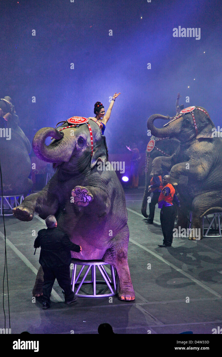 Ringling Bros und Barnum Bailey Zirkus Elefanten Stockfoto