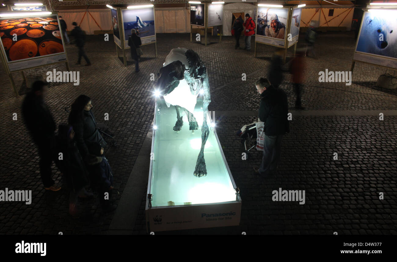 Passanten schauen Sie sich ein Eisbär-Skelett, das teilweise in Eis in der Innenstadt von Kopenhagen, 13. Dezember 2009 abgedeckt wird. Zu Beginn der Weltklimakonferenz das Objekt eingerichtet und seit dann eingeschmolzen. Die Klimaverhandlungen haben eine entscheidende Phase eingetreten. Foto: Kay Nietfeld Stockfoto
