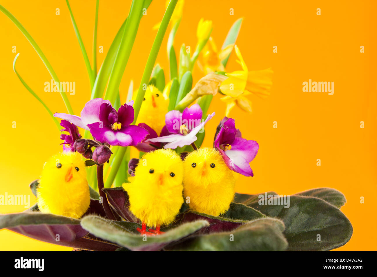 Ostern-Küken auf Blume Stockfoto