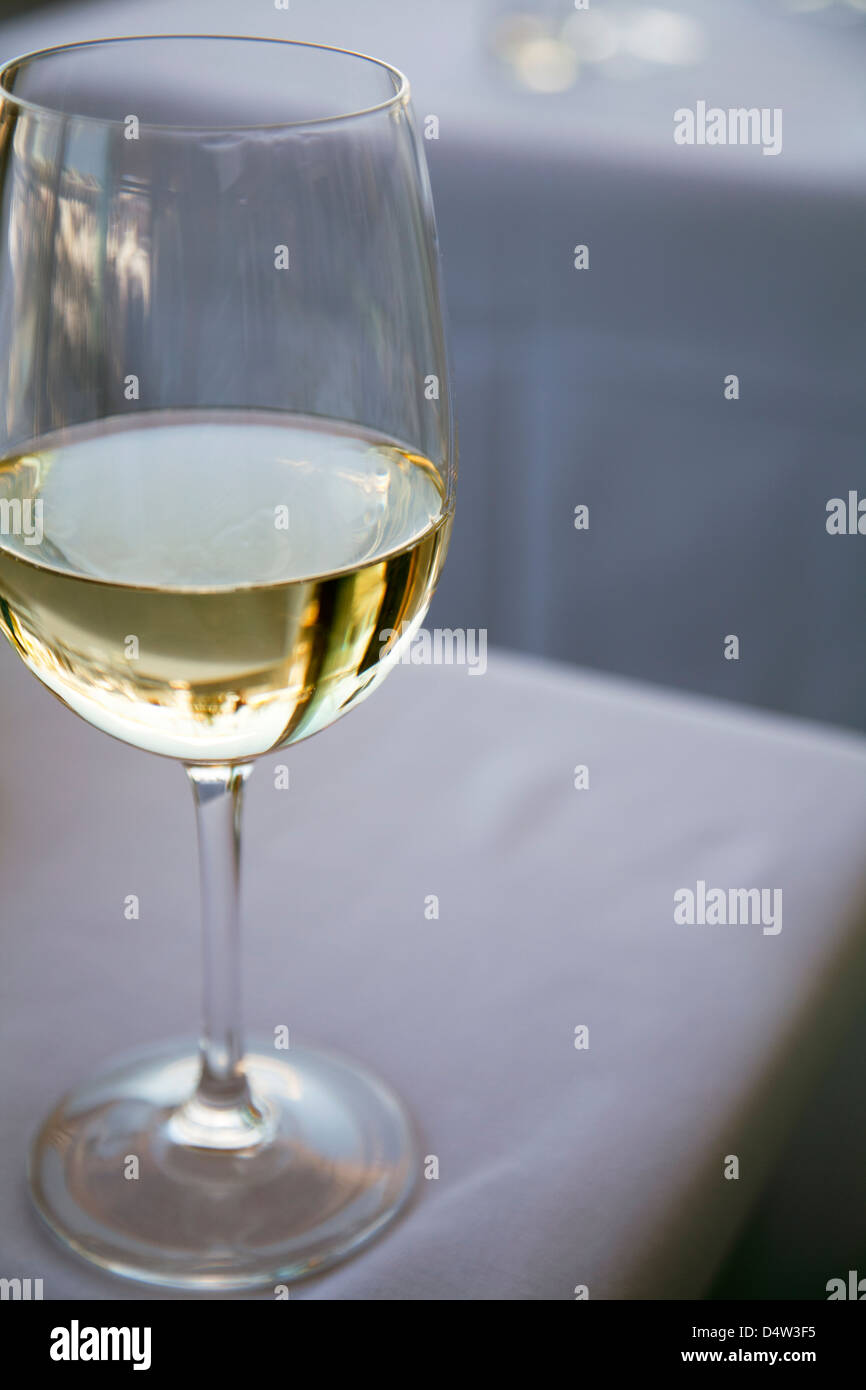 Glas Sauvignon Blanc Stockfoto