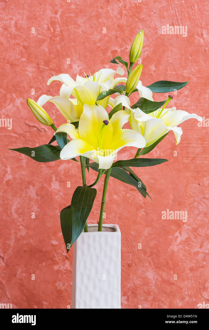 Gelbe Lilie in Vase auf Grunge Hintergrund isoliert Stockfoto