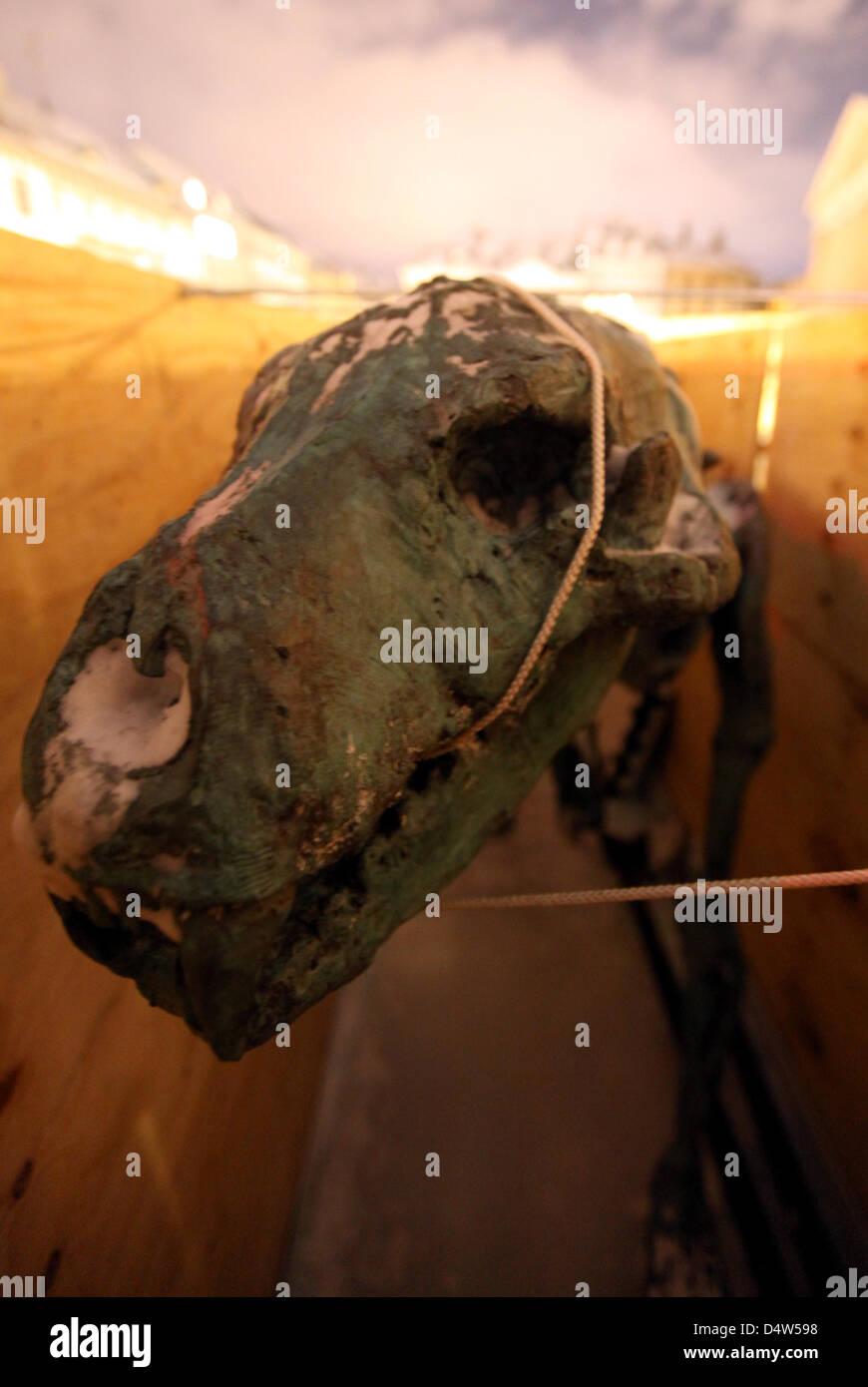 Das Skelett eines Eisbären wurde teilweise in Eis in der Innenstadt von Kopenhagen, Dänemark, 17. Dezember 2009. Der Bär hatte eingerichtet, voll überdachte im Eis zu Beginn der Weltklimakonferenz und seit dann eingeschmolzen, um das Skelett zu offenbaren. Die Konferenz endet am 18. Dezember. Foto: Kay Nietfeld Stockfoto