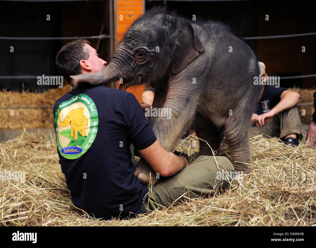 Ein Torwart spielt mit Elefantenbaby Jamuna Toni auf einem Presse-Event im Zoo Hellabrunn in München, 23. Dezember 2009. Der Elefant war Bron am 21. Dezember 2009 bereits 112 kg wiegt und vom 24. Dezember ab erkennbar. Foto: TOBIAS HASE Stockfoto