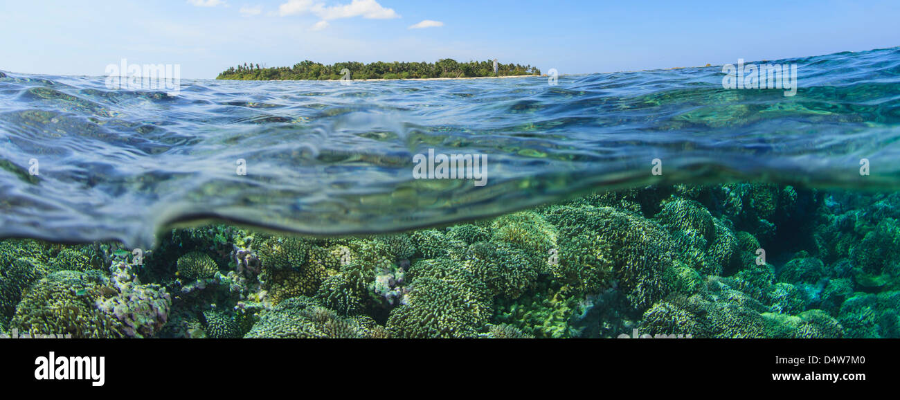 Korallenriff und Wasseroberfläche Stockfoto