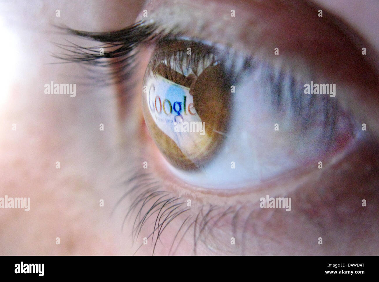 Das Logo des Internet-Giganten Google spiegelt in Bulbus in Düsseldorf, Deutschland, 12. August 2010. Google präsentiert neue Informationen über das Projekt Street View am 18. November. Foto: Julian Stratenschulte Stockfoto