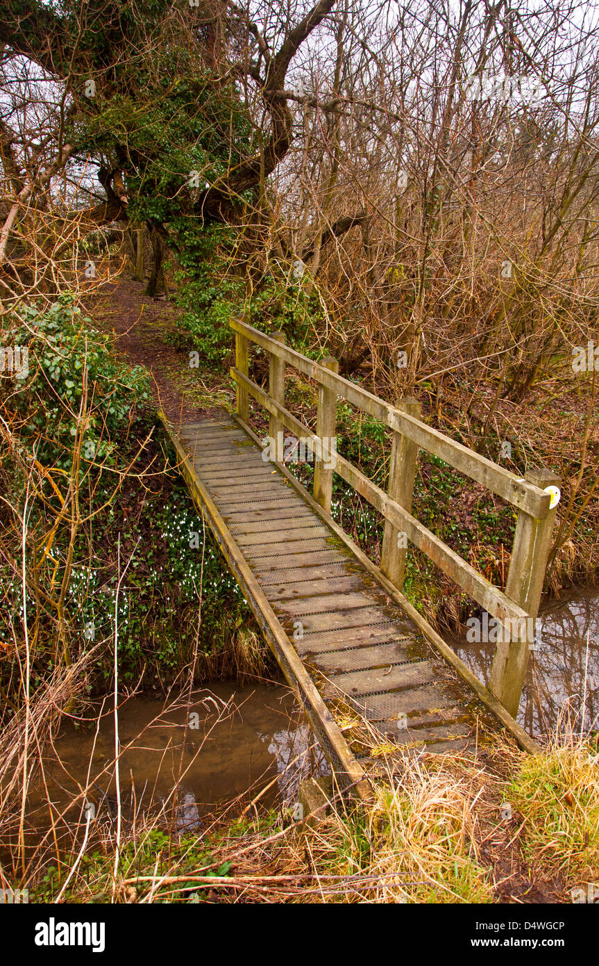 Holzsteg über Stream auf öffentlichen Fußweg Stockfoto
