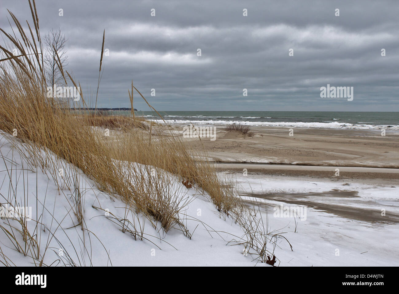 Great Lakes Dünengras im Winter Wind weht. Stockfoto