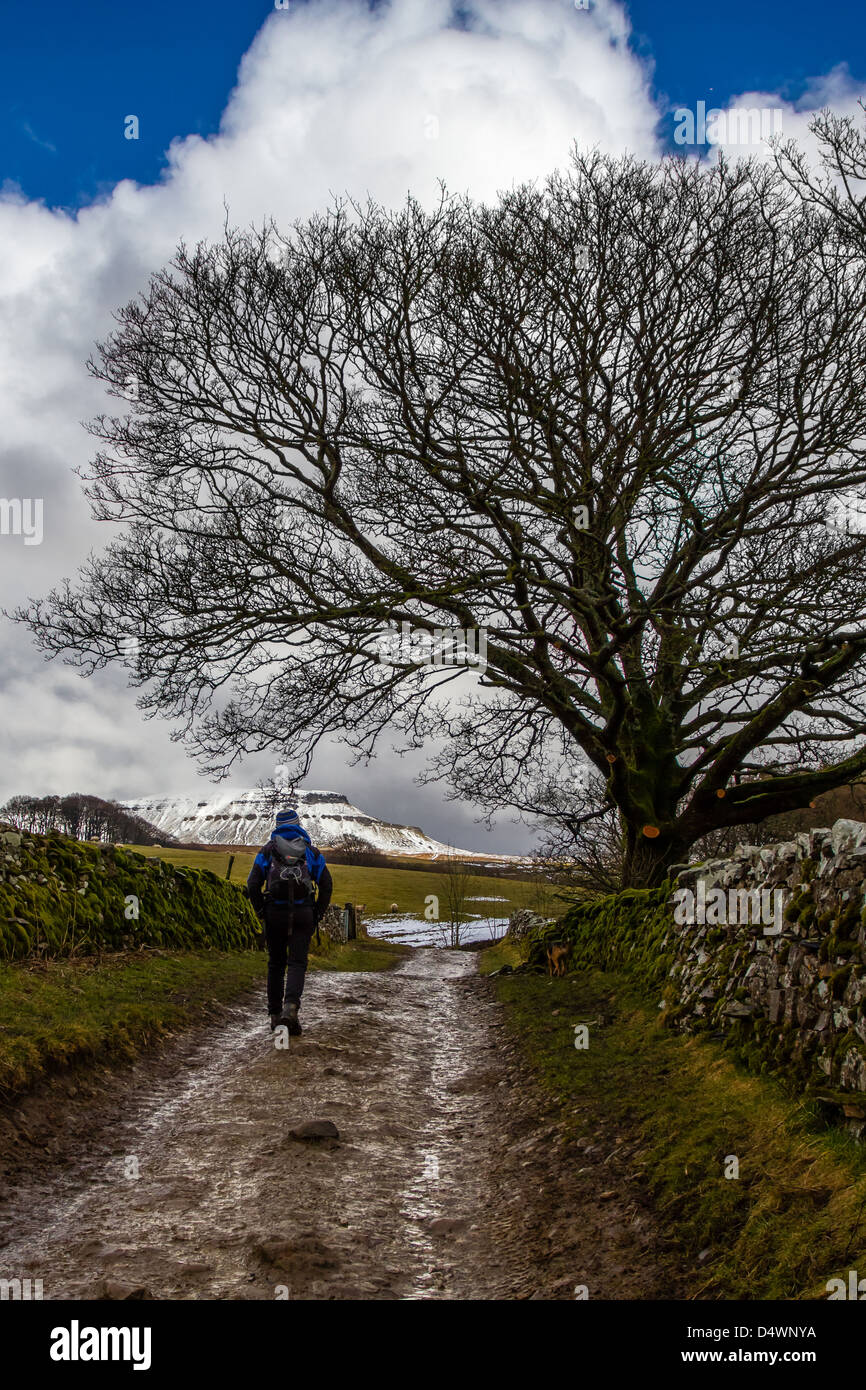 Richtung Pen-y-Gent, eines der Yorkshire 3 Gipfel Stockfoto
