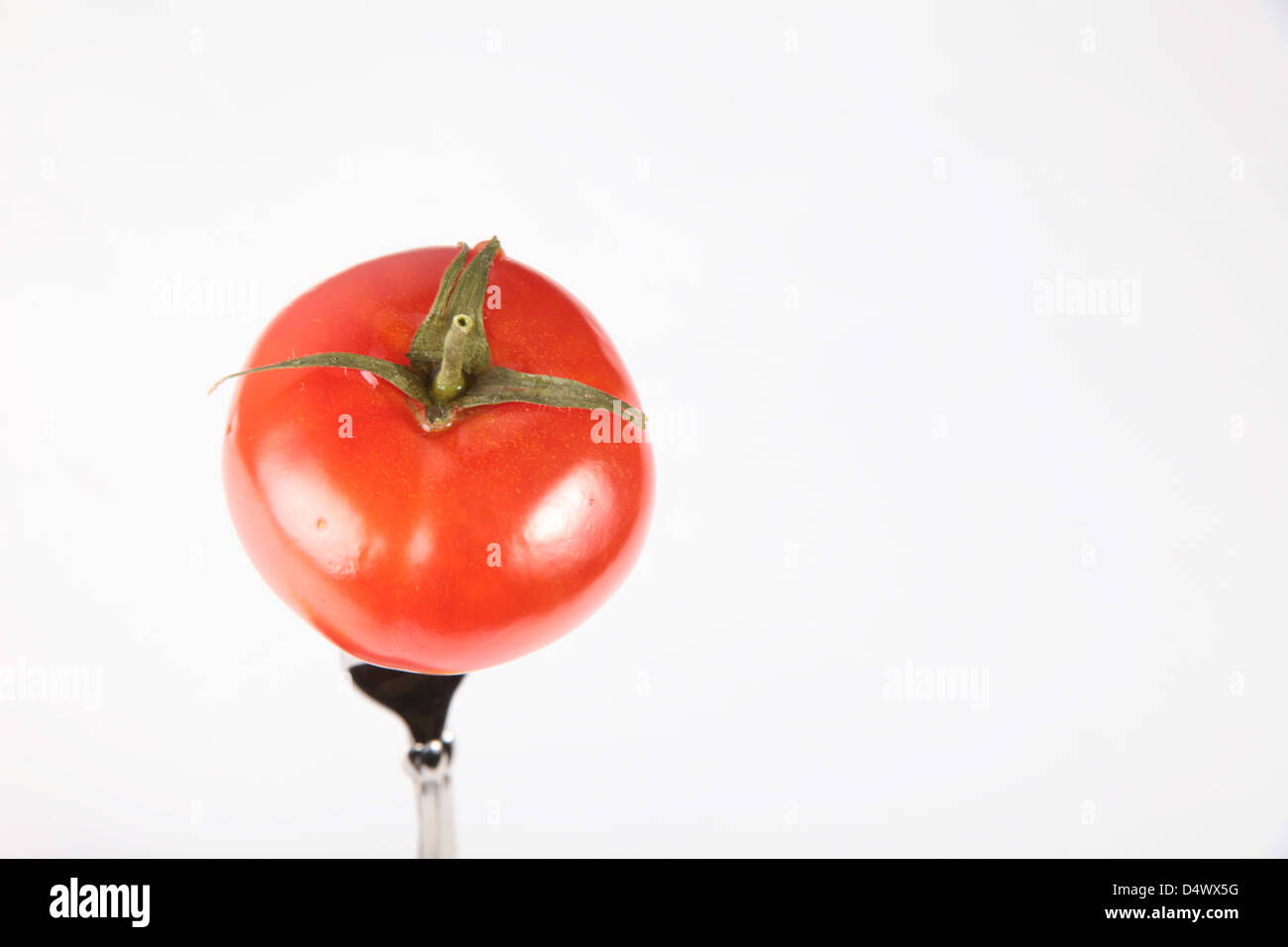 Frische Tomaten, isoliert auf weißem Hintergrund Stockfoto