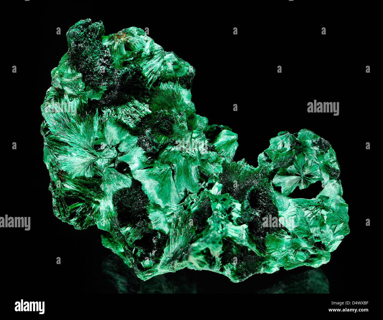 Malachit [grüne Kupfer-Carbonat Hydroxid] faserige Chatoyant bilden geben Katzenauge Stockfoto