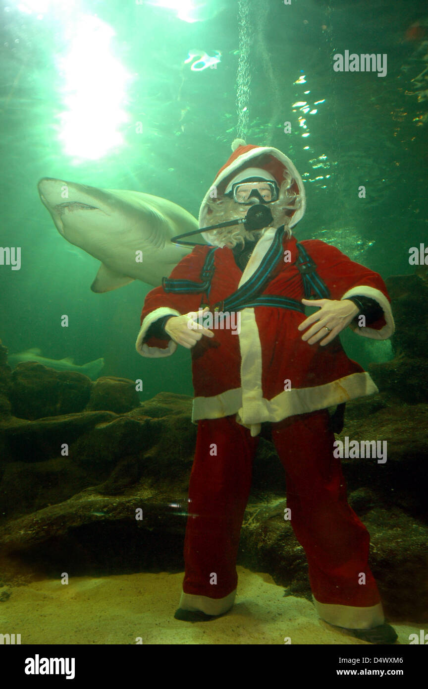 Weihnachtsgruß von Santa Clause Taucher. (Bild ist aufgrund der geringen Lichtverhältnissen leicht körnig). Stockfoto