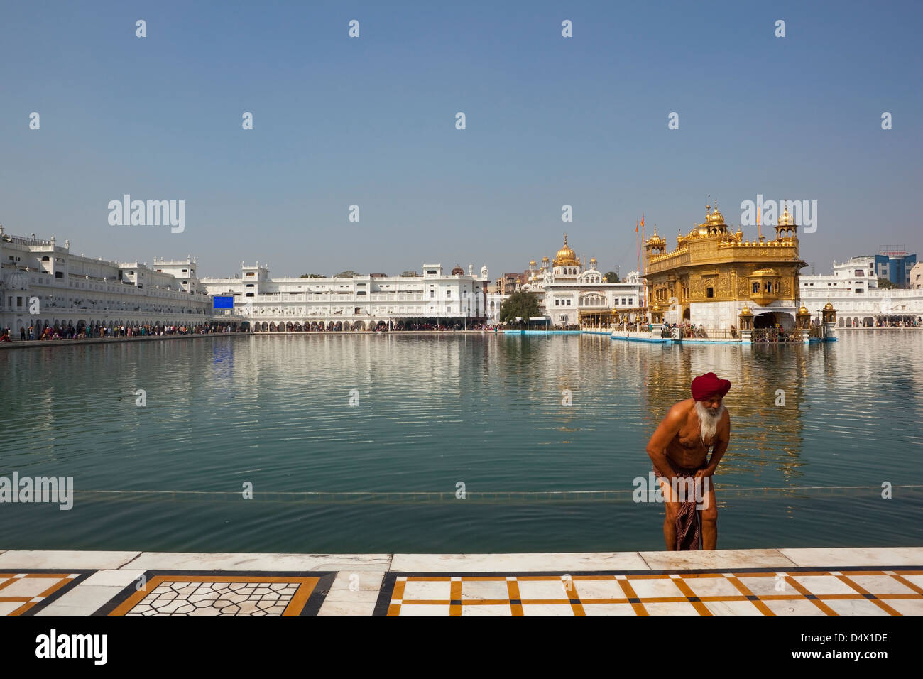 Ein männlicher Sikh Anhänger nehmen ein Bad im Heiligen Pool im herrlichen goldenen Tempel in Amritsar, Punjab, Indien. Stockfoto