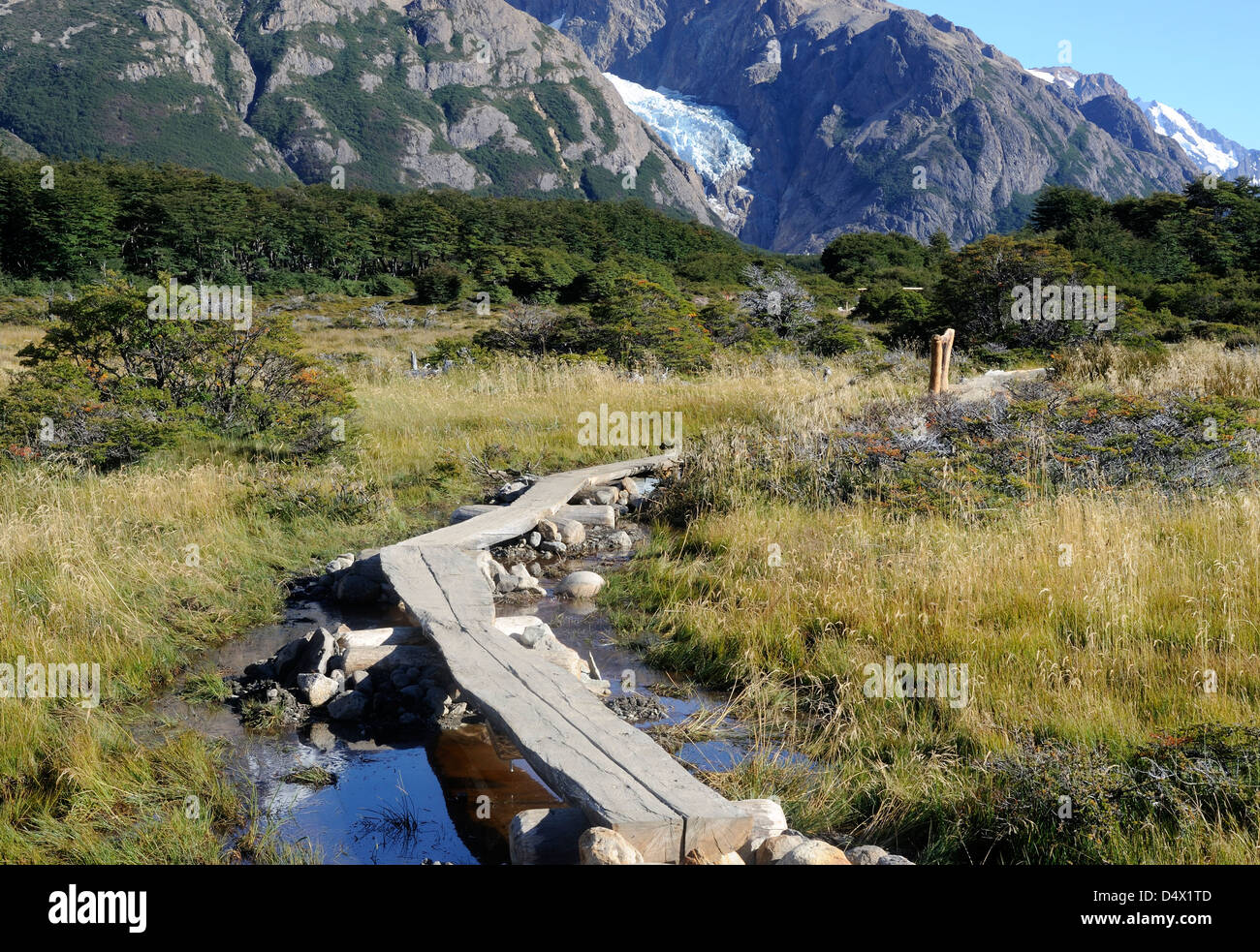 Ein Holzsteg über ein sumpfiges Gebiet im Nationalpark Los Glaciares am Fuße des Bereichs Fitzroy in der Nähe von El Chalten. Argentinien. Stockfoto