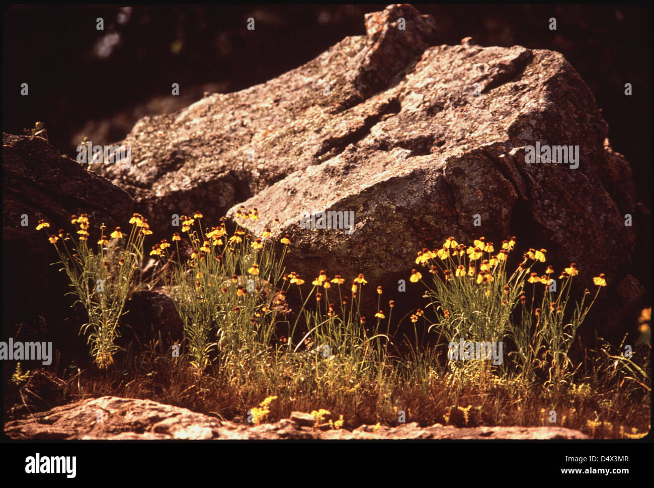 Ein malerischer Blick auf Zentral-Texas in der Nähe des Lake Travis, aufgenommen im Rahmen des DOCUMERICA-Projekts. Das Foto spiegelt die Landschaft und die Umwelt der Region wider und zeigt das natürliche Gelände in Texas. Stockfoto