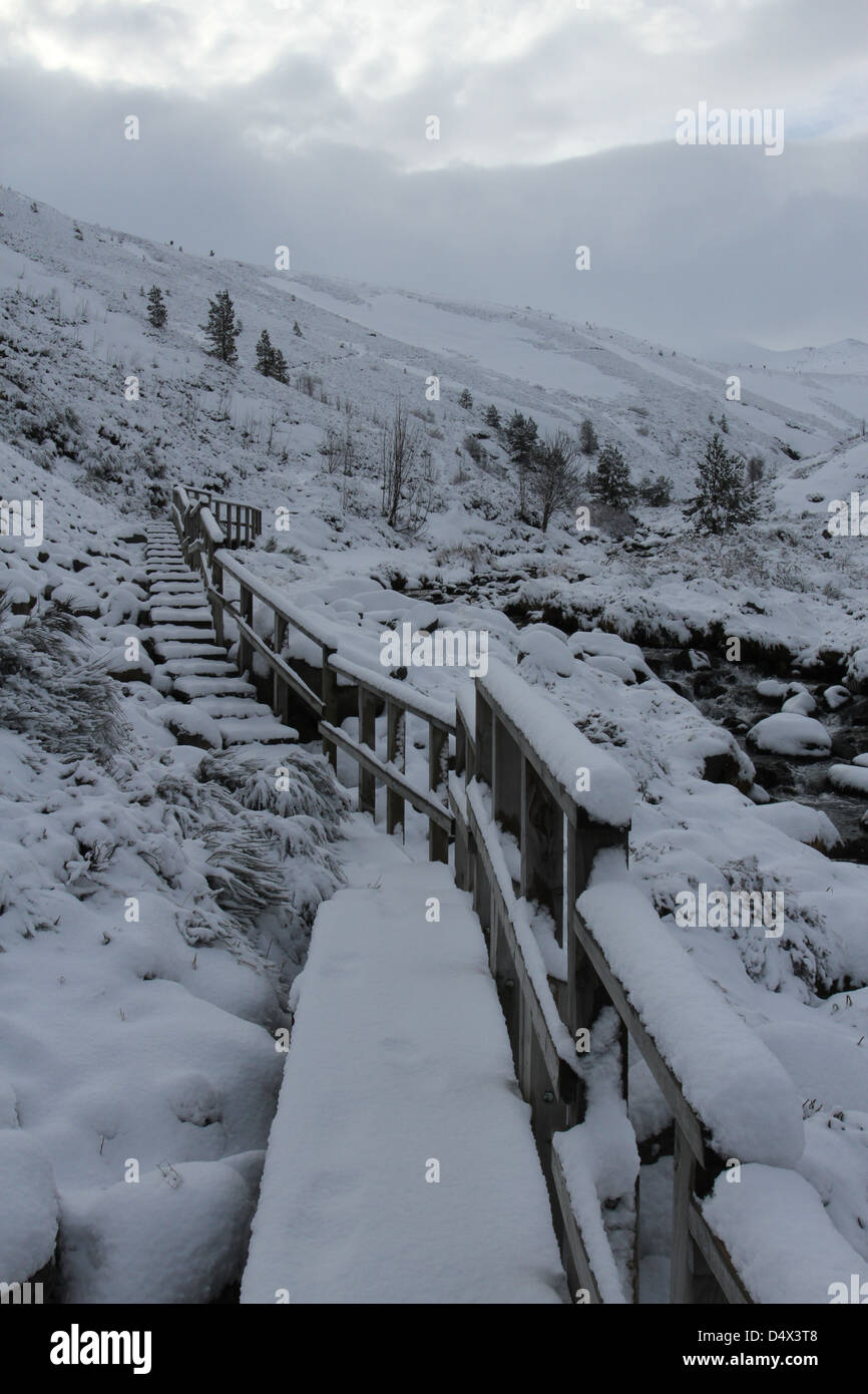 Hölzernen Fußweg Cairngorm National Park Schottland März 2013 Stockfoto