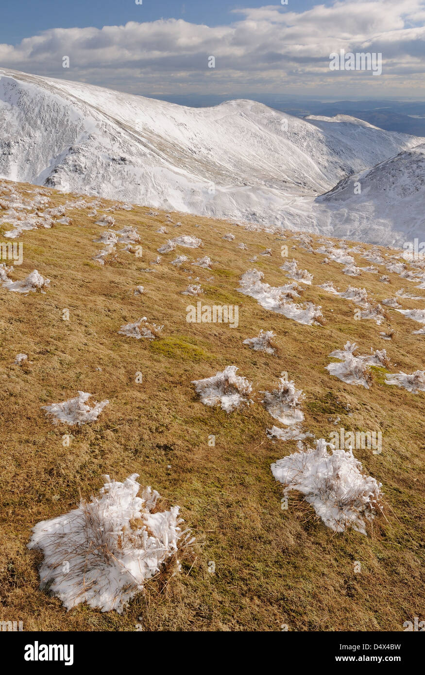 Surreale Eis verkrustet Flecken des Grases auf Dollywaggon Hecht im Winter im englischen Lake District Stockfoto