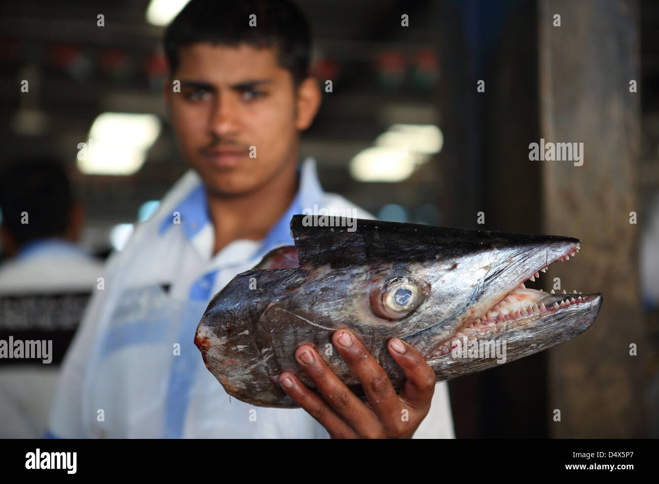 Mann hält ein Fischkopf am Markt in Dubai, Vereinigte Arabische Emirate Stockfoto