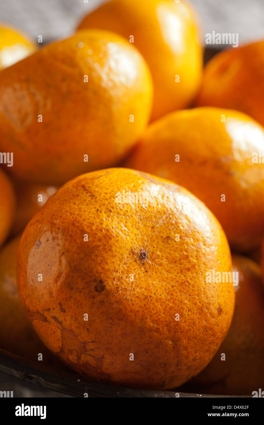Clementinen, die Zitrusfrüchte Stockfoto
