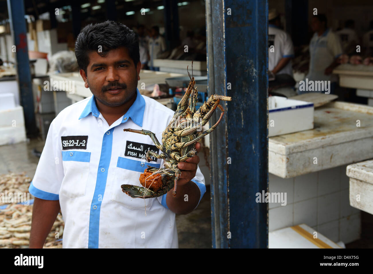 Mann hält einen Hummer am Fischmarkt in Dubai, Vereinigte Arabische Emirate Stockfoto