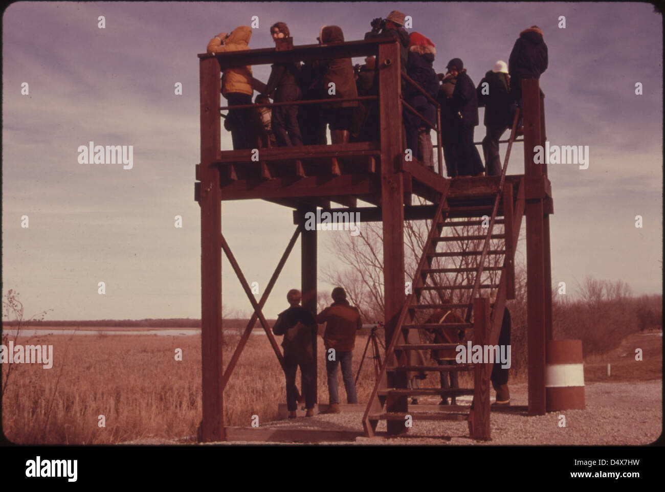 Im Februar 1975 beobachteten Mitglieder der Burrough Audubon Society Zugvögel von einem Aussichtsturm in Missouri aus. Die Bemühungen der Gruppe heben die Bedeutung der Vogelbeobachtung und des Umweltschutzes in den Wintermonaten hervor. Stockfoto
