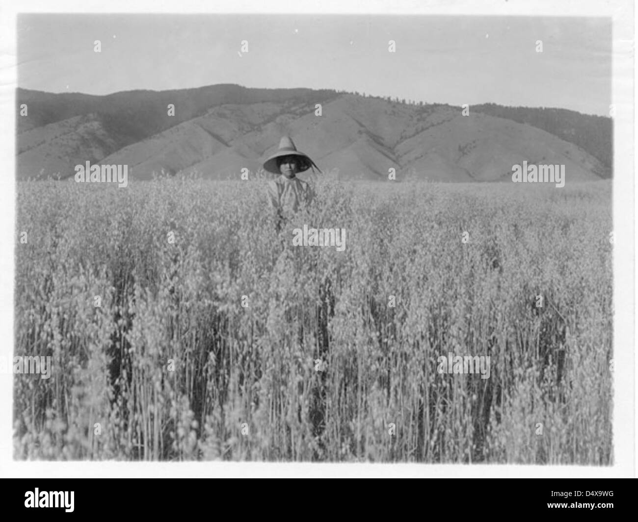 Dieses Foto zeigt ein indianisches Mädchen, das auf einem Feld im Flathead Reservat in Montana steht. Das Bild spiegelt den Einfluss des Flathead Bewässerungsprojekts auf die lokale Gemeinschaft und die kulturelle Bedeutung des Landes wider. Stockfoto