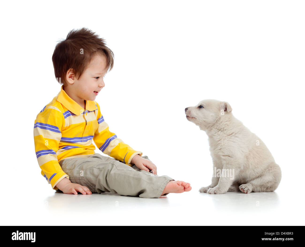 kleine Kinder und Welpen sahen einander auf weißem Hintergrund Stockfoto