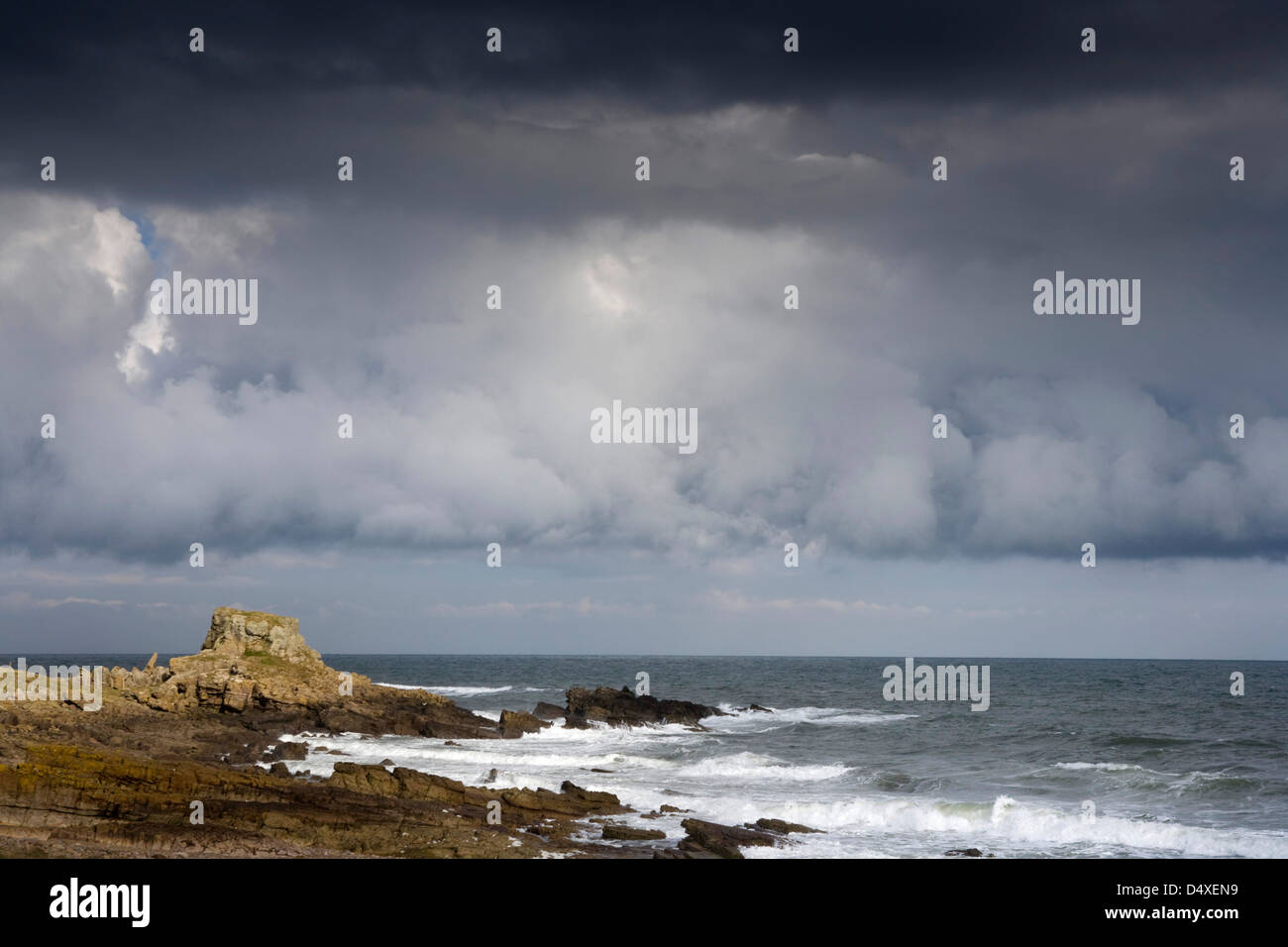 Die Fife coastal Path westlich von Crail, Fife. Stockfoto