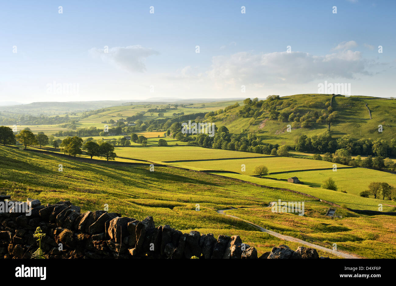 Nachschlagen von Upper Wharfedale, Yorkshire Dales UK Stockfoto