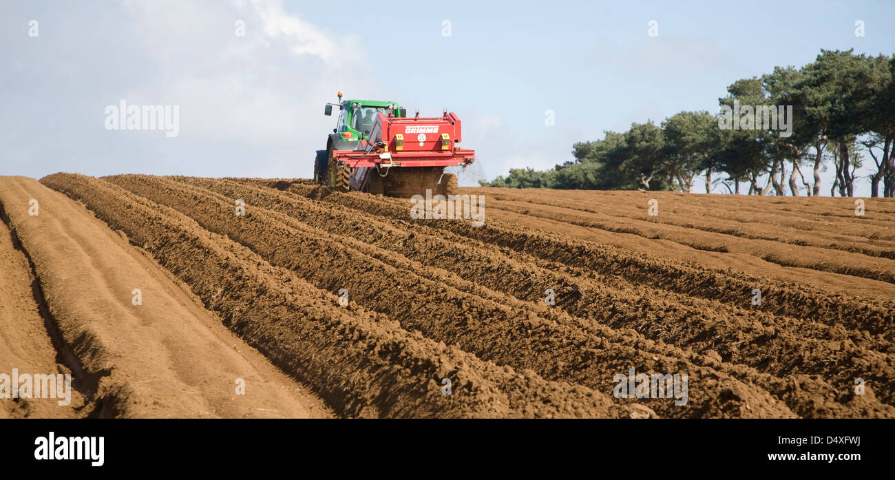 Grimme 25 de-Stoner-Maschinen, die Vorbereitung des Bodens für die Ernte von Kartoffeln in einem Feld, Shottisham, Suffolk, England Stockfoto