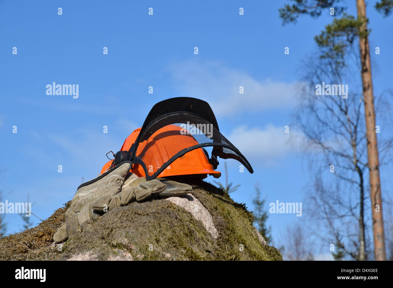 Arbeiter Forstausrüstung platziert auf einem Felsen mit Moos Stockfoto