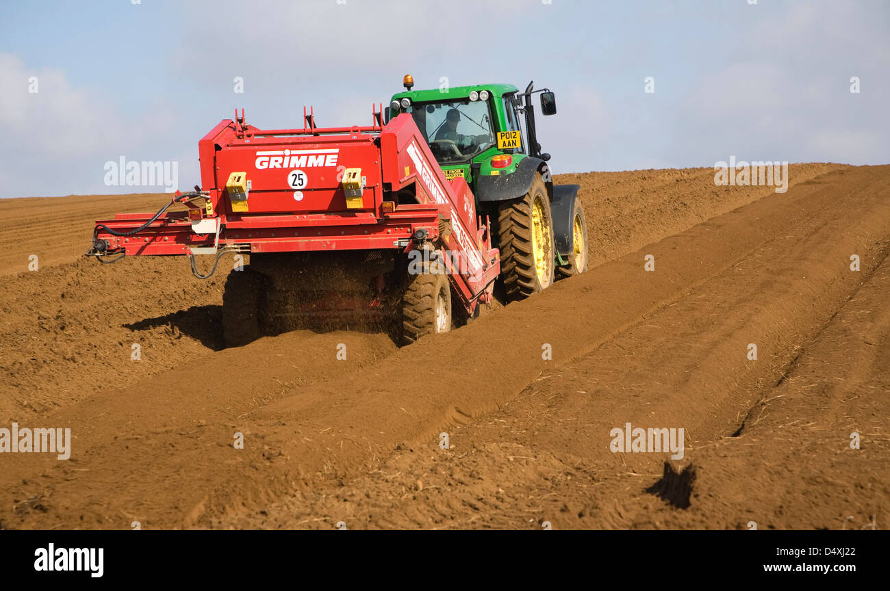 Grimme 25 de-Stoner-Maschinen, die Vorbereitung des Bodens für die Ernte von Kartoffeln in einem Feld, Shottisham, Suffolk, England Stockfoto